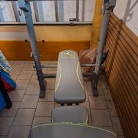 panca palestra domyos 160