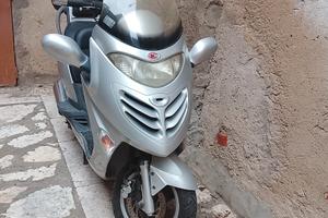 scoter