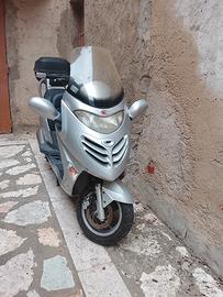 scoter