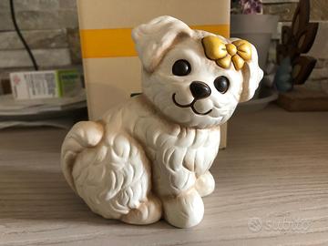 cane Maltese Thun 2019-2020