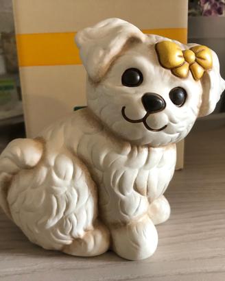 cane Maltese Thun 2019-2020