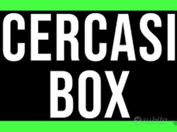 Box Cecina