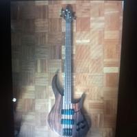 basso Peavey - upgrade Bartolini/Schaller -