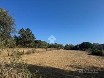 TER. AGRICOLO A QUARTUCCIU