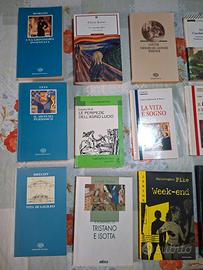 Libri letteratura scolastici