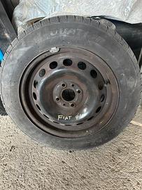 Gomme fiat fiorino