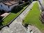 Immagine 29