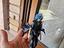 Immagine 5