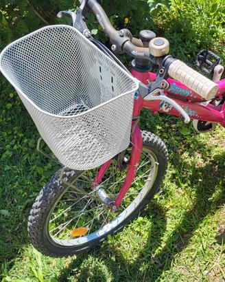 bici aurora