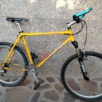 MTB lee cougan taglia XL 