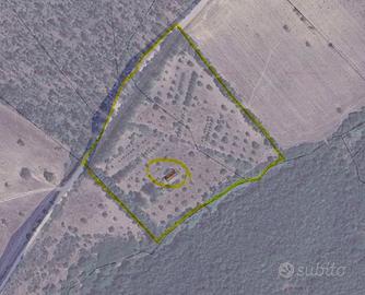 Terrreno Loc. Gutturu e Forru, Villacidro