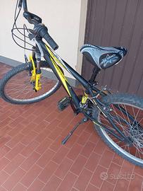 Bici ragazzo cerchi 24"