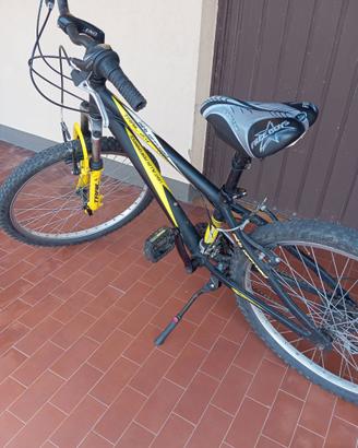 Bici ragazzo cerchi 24"