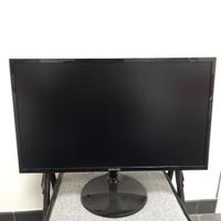 Monitor Samsung 24 pollici 