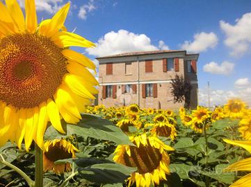 BIFAMILIARE A RECANATI