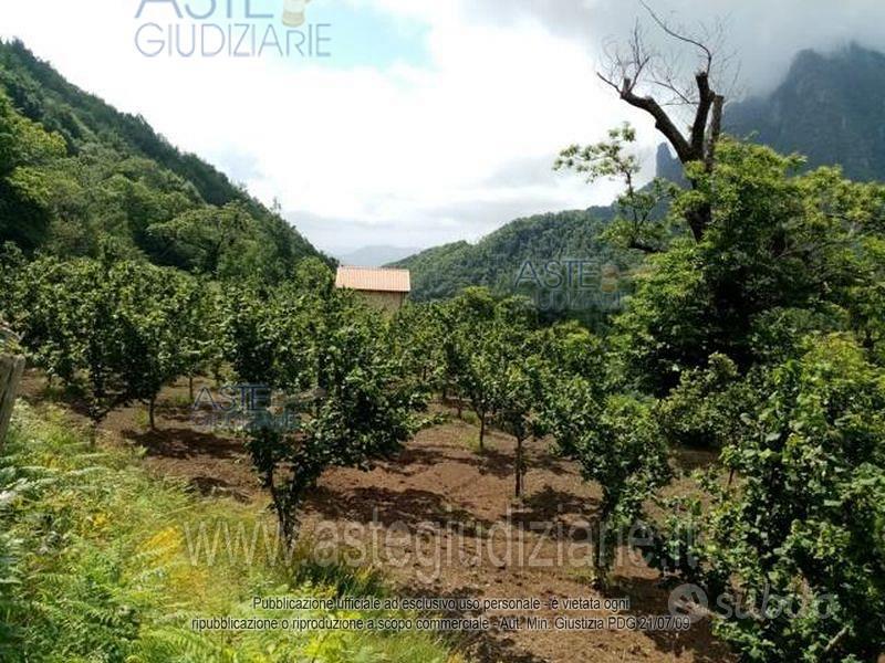 Terreno Agricolo Giffoni Valle Piana [A4333105] - Vista 2
