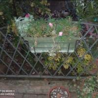 Ringhiera giardino ferro pieno 2 pezzi