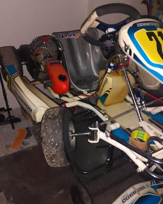 kart Ricciardo mini 60