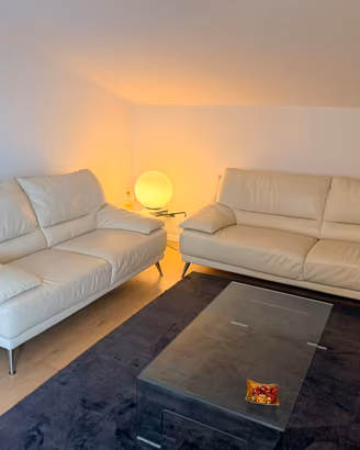 Coppia di divani “natuzzi”