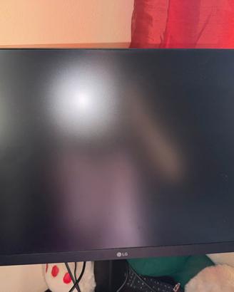 Monitor LG opaco