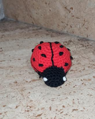 Coccinella bomboniera