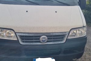 Furgone Ducato