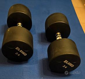 Manubri 34kg Eleiko gommati