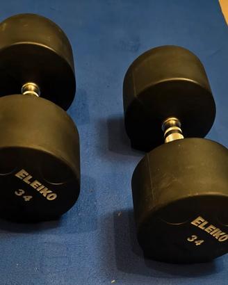 Manubri 34kg Eleiko gommati
