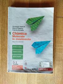Chimica Molecole in movimento Vol. 1