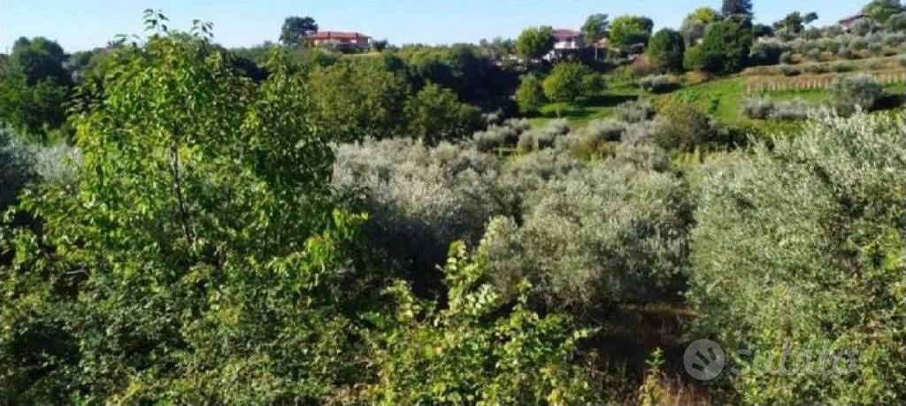 Immobile in asta di 13593 m² a Velletri - Altro