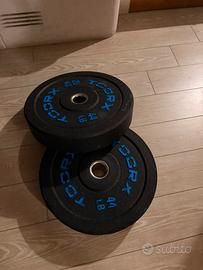 Pesi bilanciere 20kg