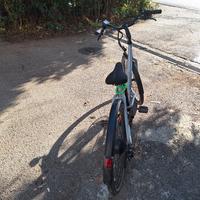 bicicletta elettrica 