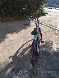 bicicletta elettrica 