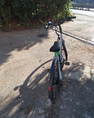 bicicletta elettrica 