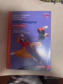 Libri scolastici e per concorso INPS