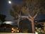 Immagine 11