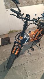 Bicicletta elettrica