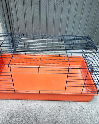 gabbia maxi per conigli 