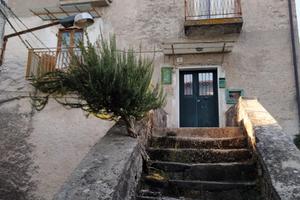 Si offre casa indipendente