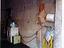 Immagine 26