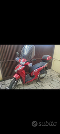 Scooter SH 300