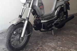 Mini Califfo 50cc