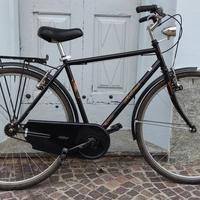 bicicletta da uomo
