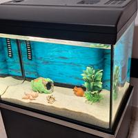 acquario circa 25 litri