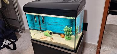 acquario circa 25 litri