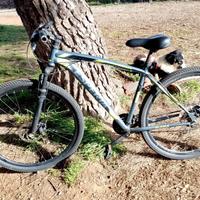 Bicicletta esperia alaska