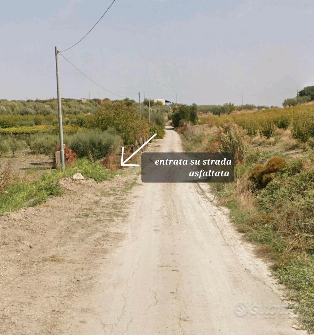 Terreno con uliveto - Vista 3