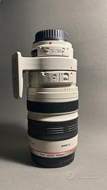 Canon EF 100-400 f4.5/5.6 L IS