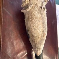 reperto archeologico marino