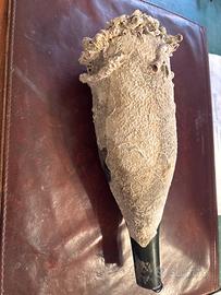 reperto archeologico marino